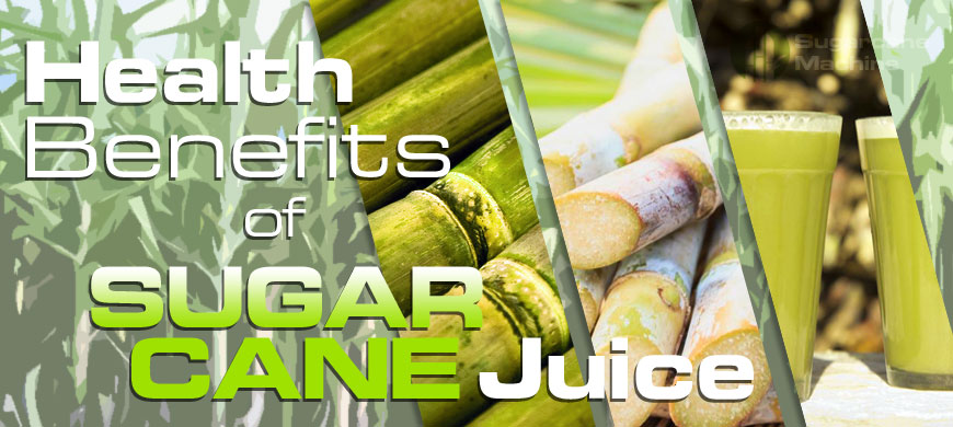 What is a Sugarcane?
