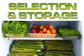 Sugarcane Selection Process & Storage